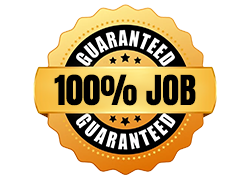 100% Job Assistance